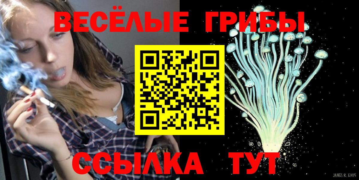 Галлюциногенные грибы мицелий  Вход с VPN  Шарыпово 